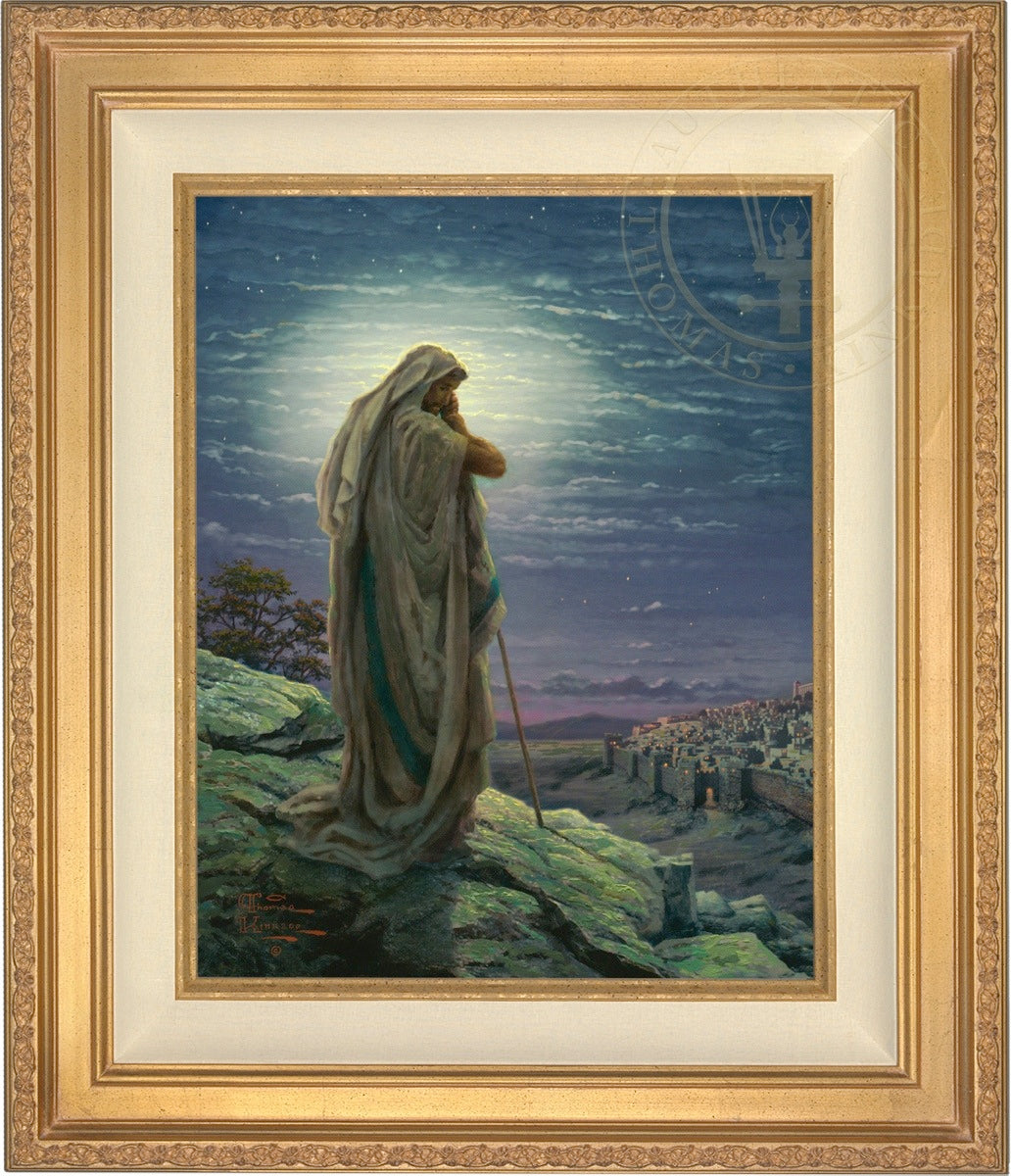 Laguna Vista Gallery