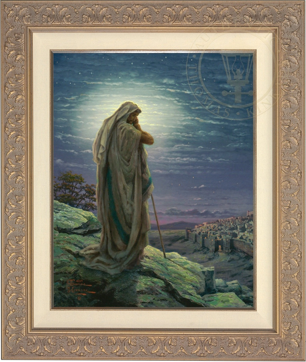 Laguna Vista Gallery