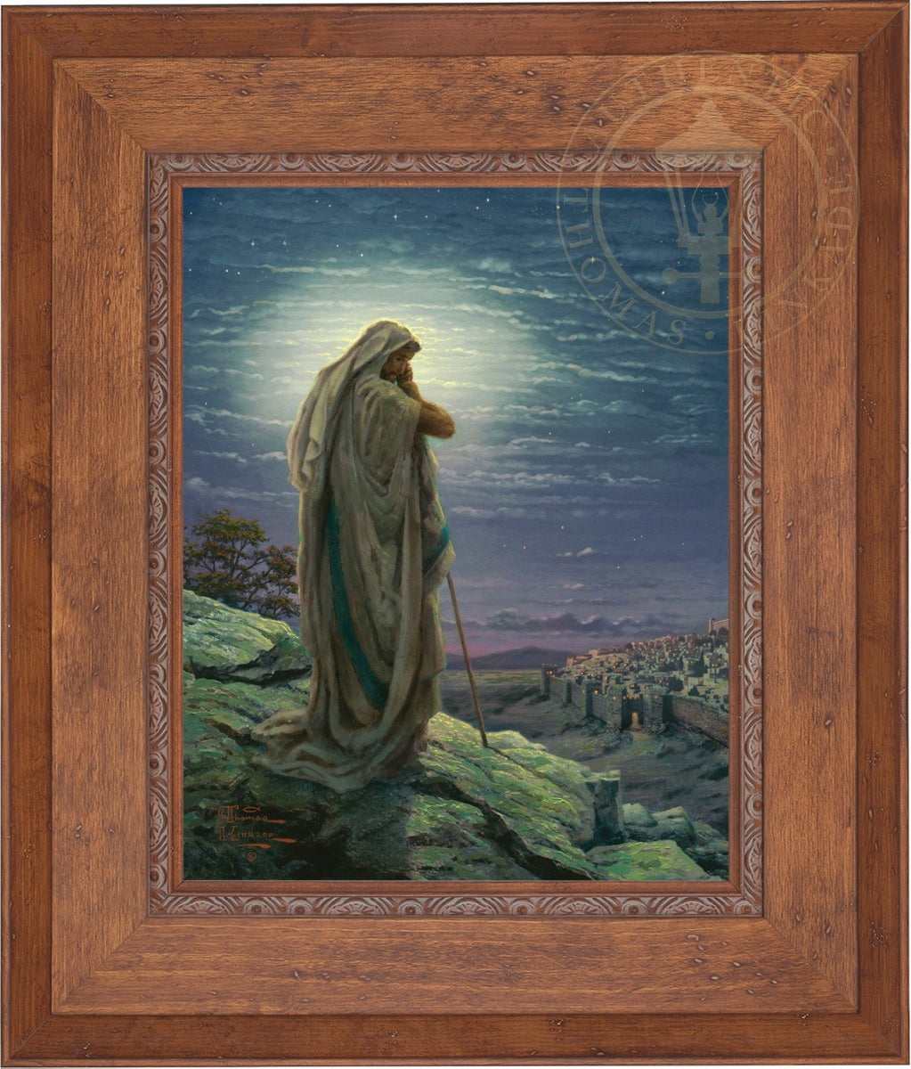 Laguna Vista Gallery