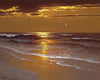 rino gonzalez warm summer night