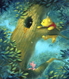 rob kaz a curious bear