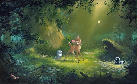rob kaz the beauty of life
