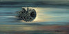rodel gonzalez lightspeed