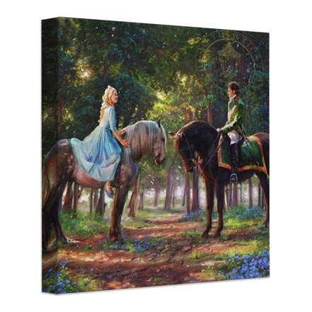 Romance Awakens – 14″ x 14″ Gallery Wrapped Canvas