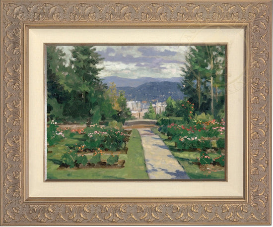 Laguna Vista Gallery