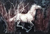 g h rothe colts