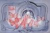 g h rothe dome of the butterflies