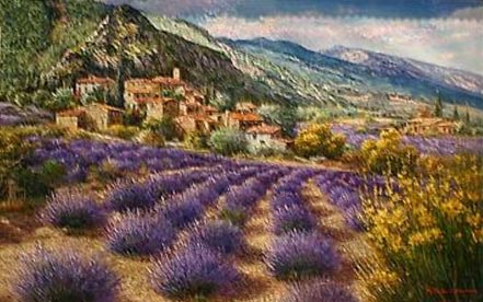 sam park lavender fields