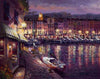 sam park night view of st tropez