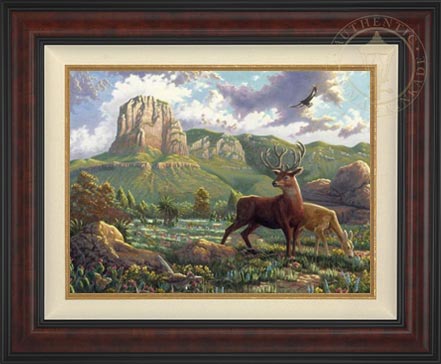 Laguna Vista Gallery