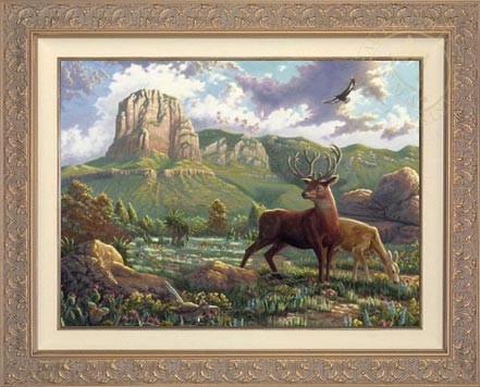Laguna Vista Gallery