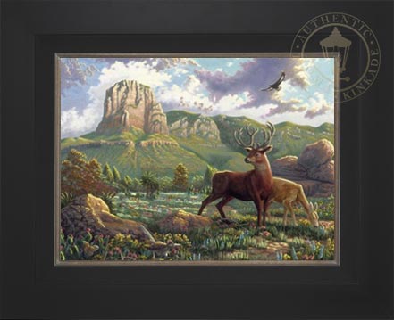 Laguna Vista Gallery