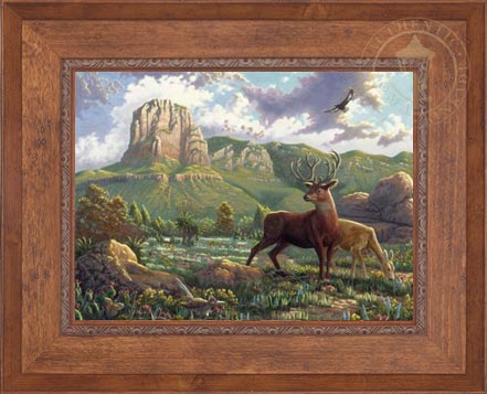 Laguna Vista Gallery