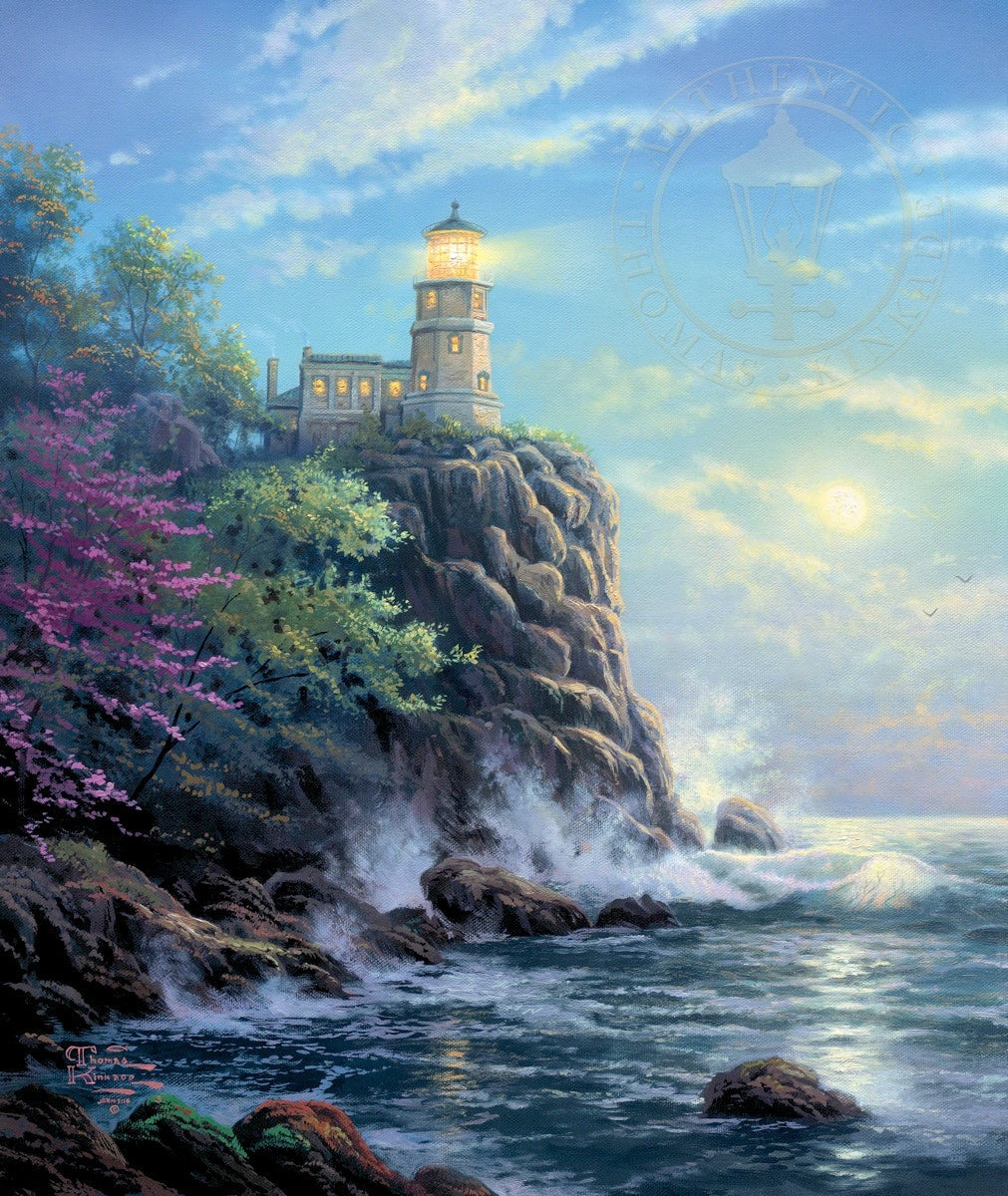 Laguna Vista Gallery
