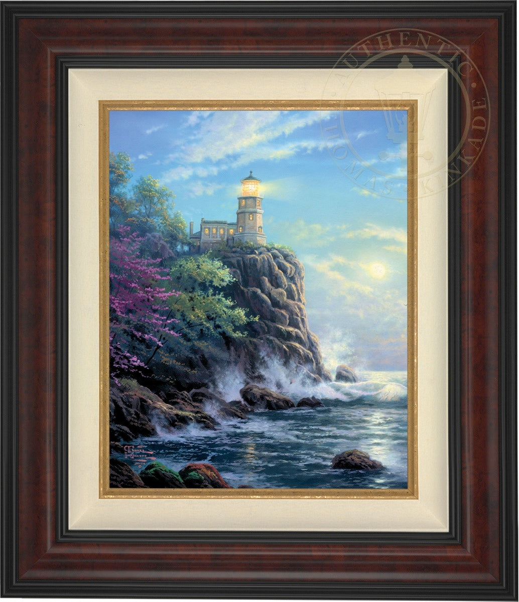 Laguna Vista Gallery