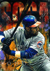 stephen holland sammy sosa