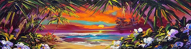 steve barton sunset palms