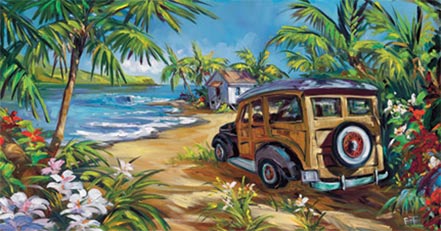 steve barton surf island