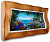 steve barton window to paradise