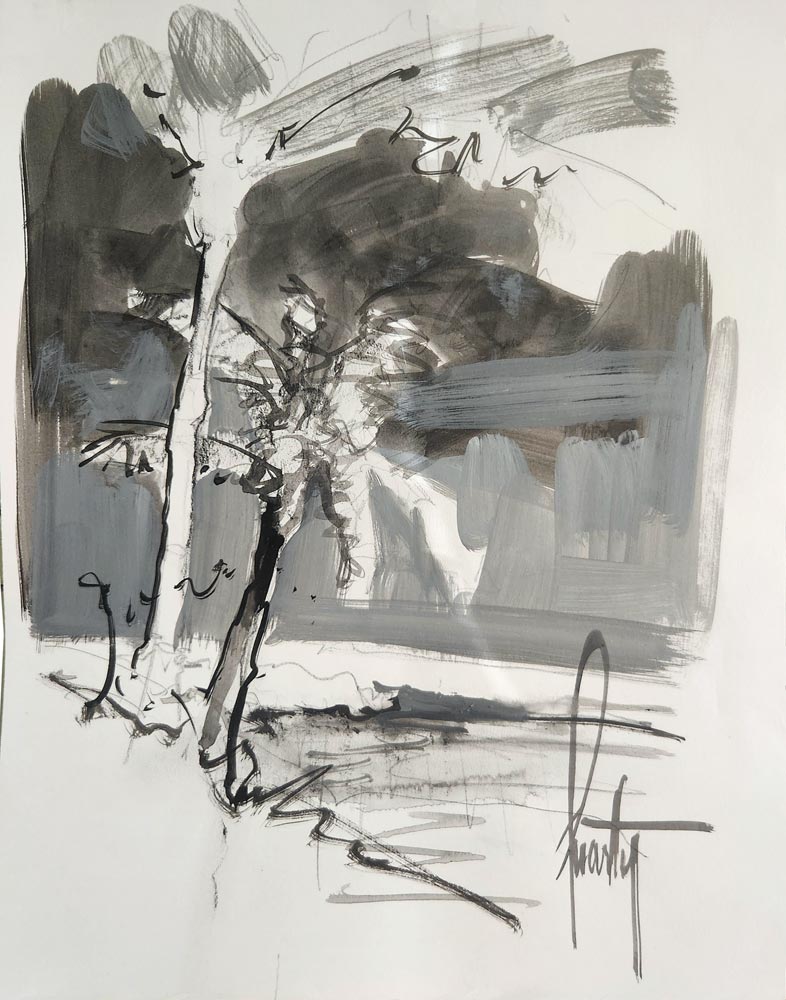 steve quartly coastline study