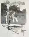 steve quartly coastline study