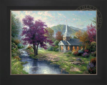 Laguna Vista Gallery