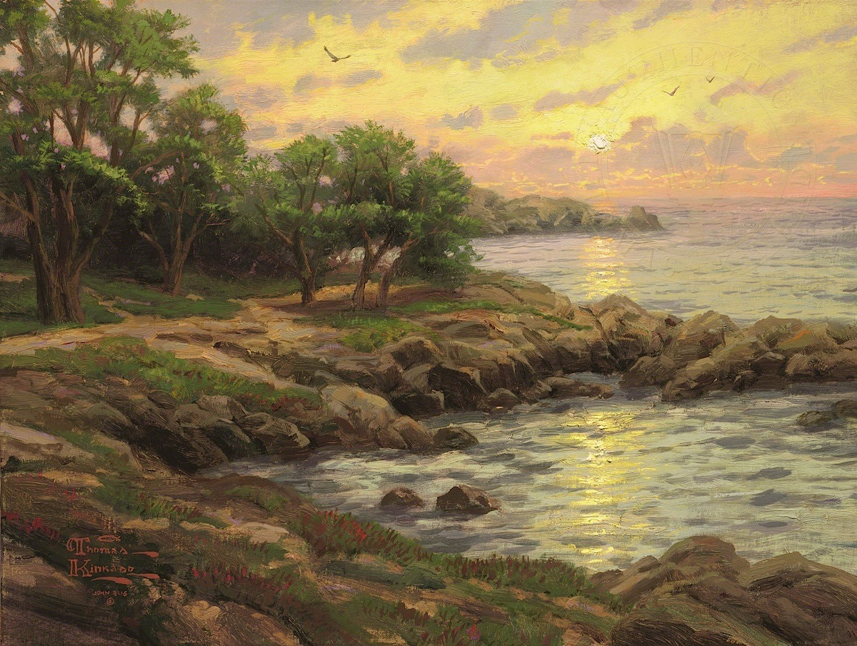 Laguna Vista Gallery