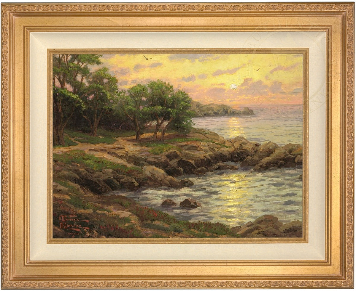Laguna Vista Gallery