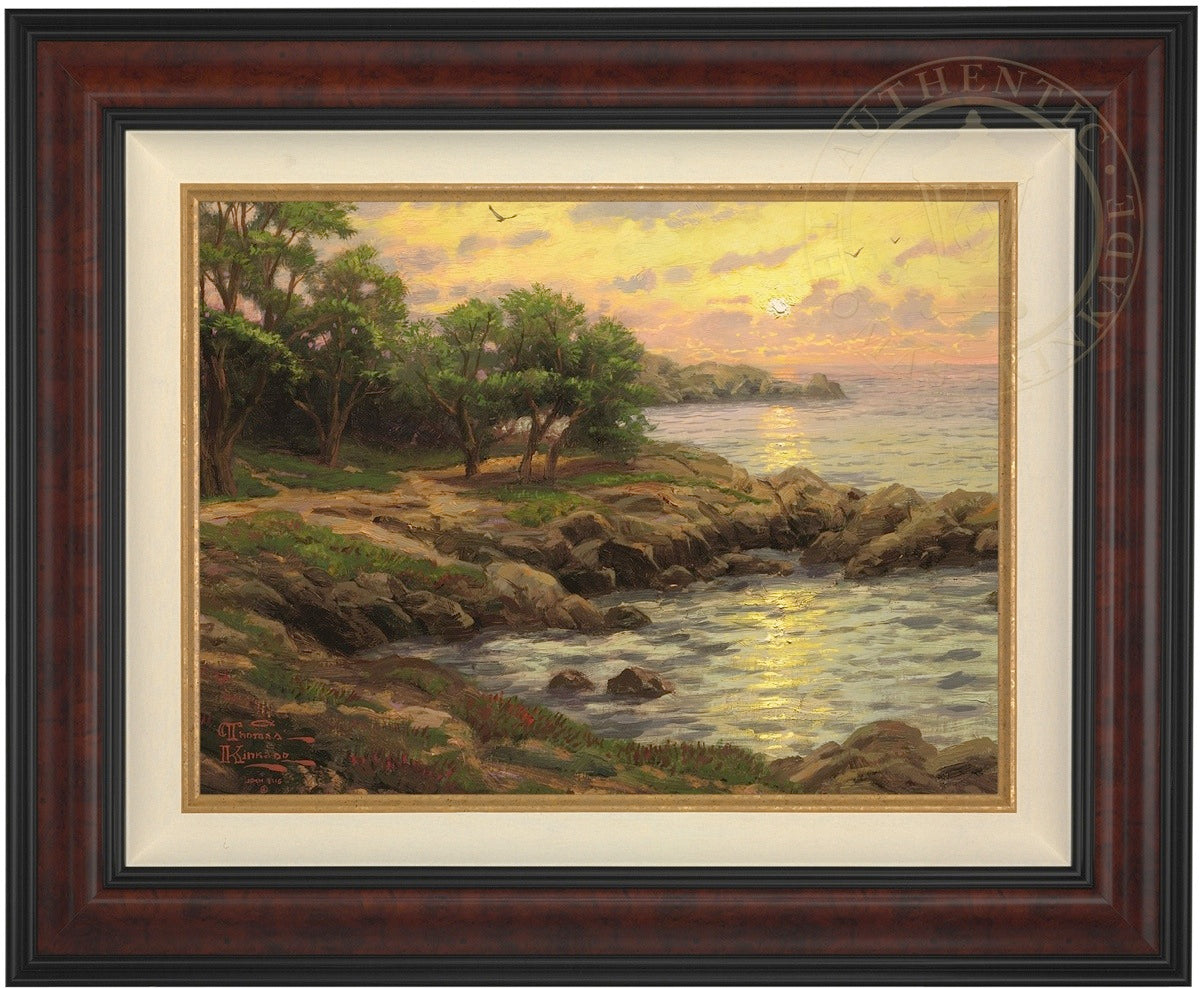Laguna Vista Gallery