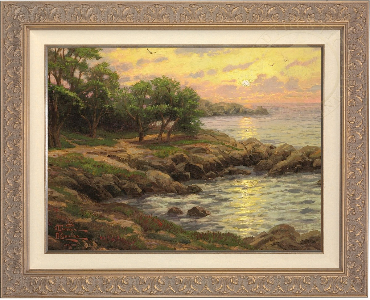 Laguna Vista Gallery