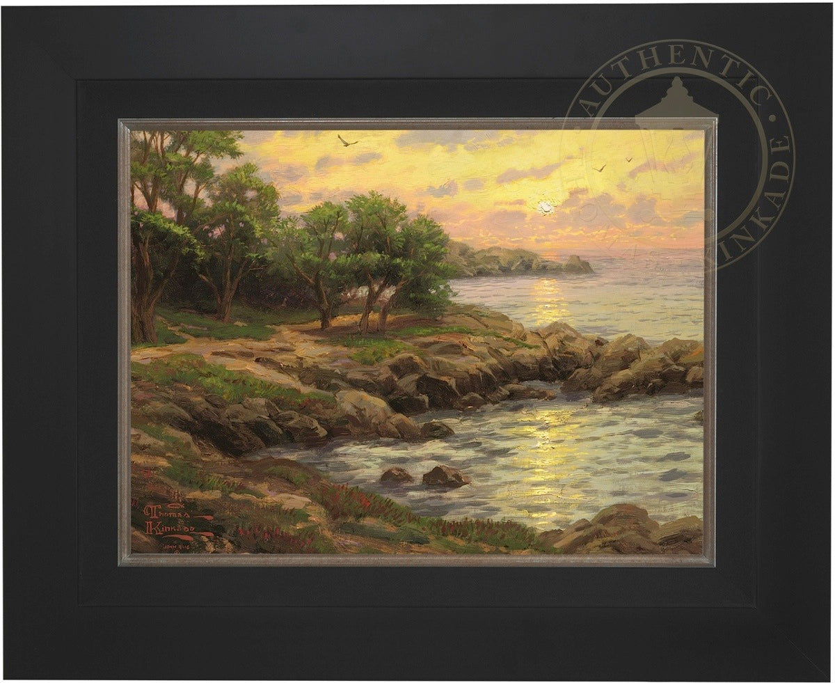 Laguna Vista Gallery