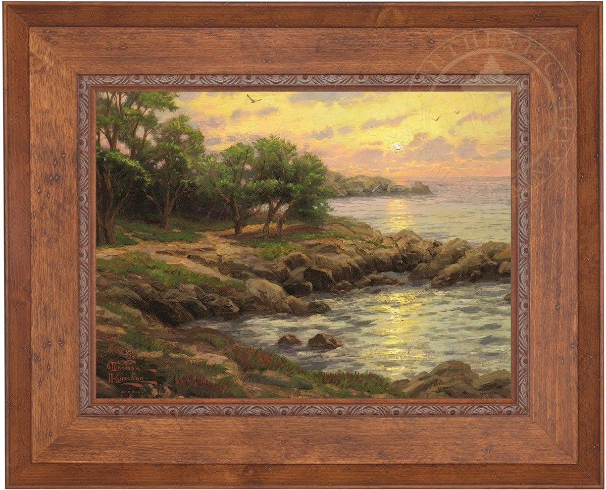 Laguna Vista Gallery