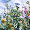 susan rios a peachy day