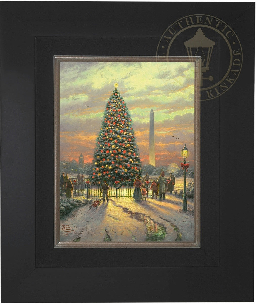 Laguna Vista Gallery