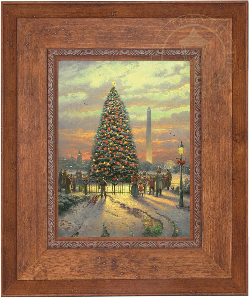 Laguna Vista Gallery