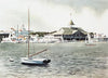 taylor blakely balboa pavilion