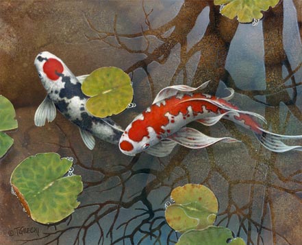 terry gilecki a splash of sky