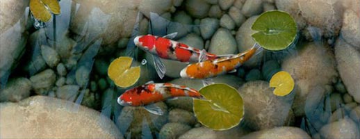 terry gilecki among friends