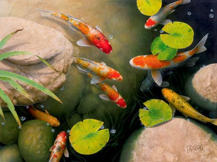 terry gilecki goiod luck pond 2