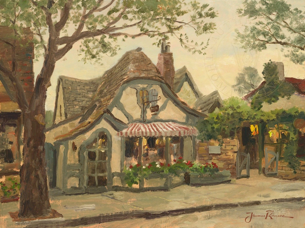 Laguna Vista Gallery