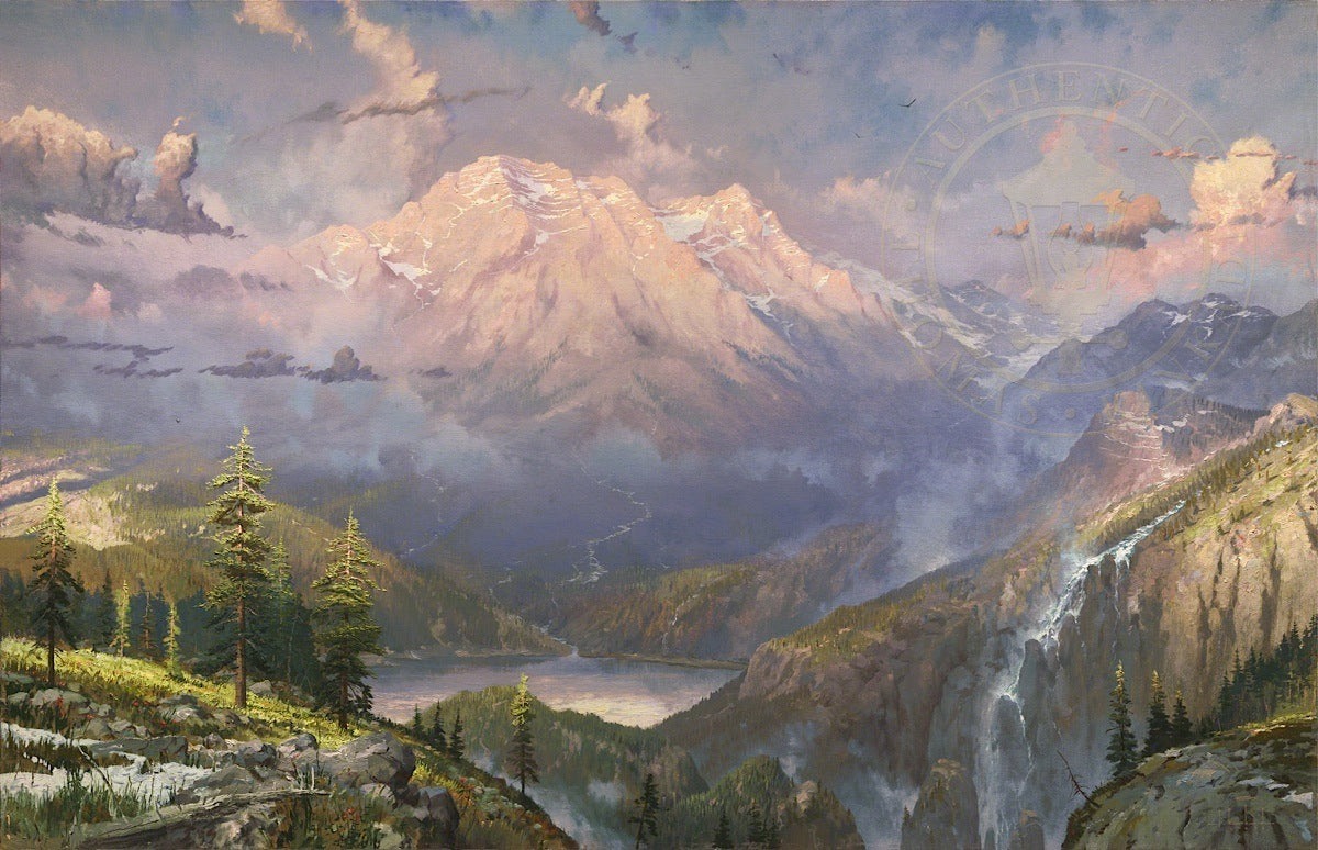 Laguna Vista Gallery