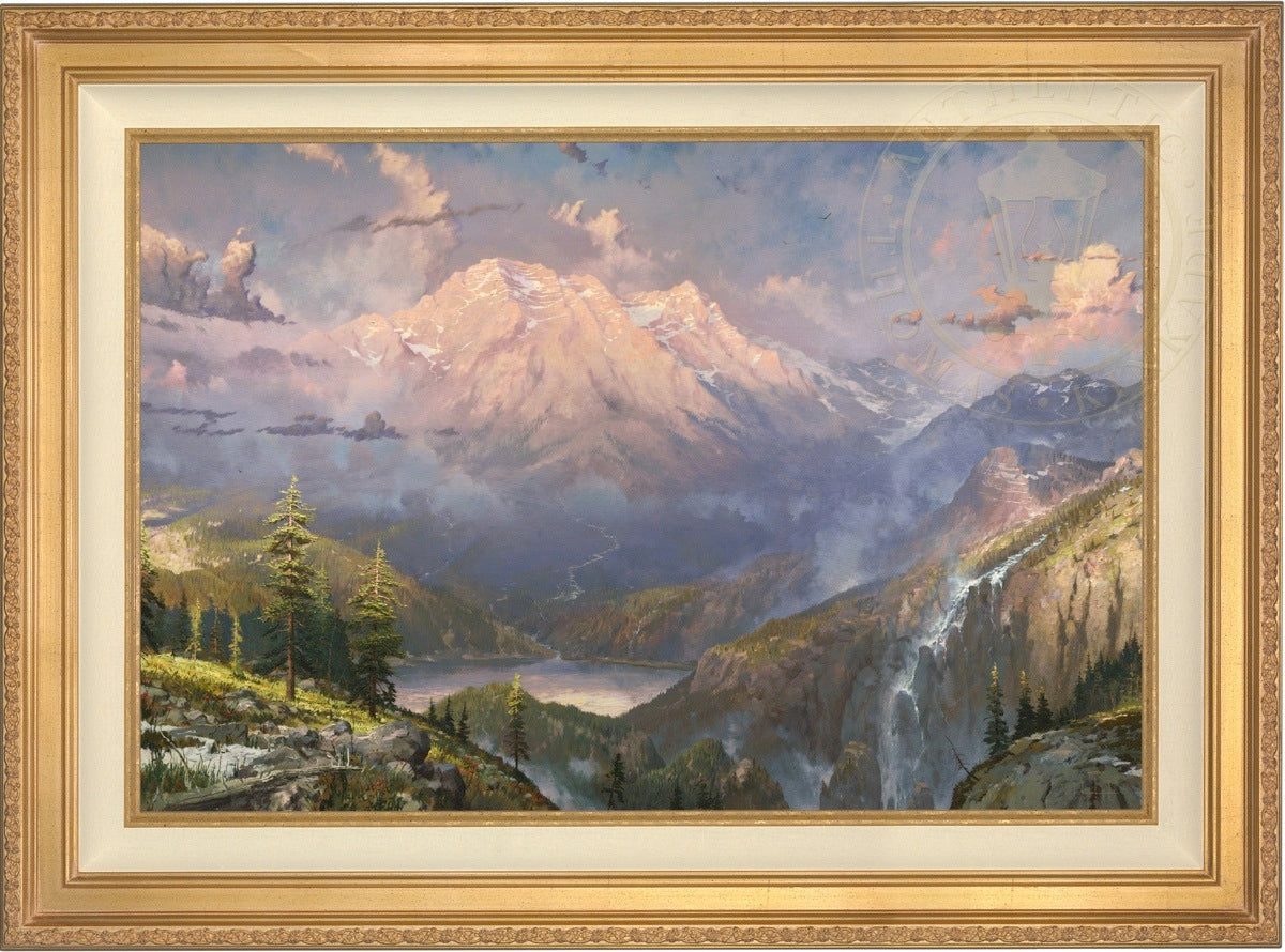 Laguna Vista Gallery