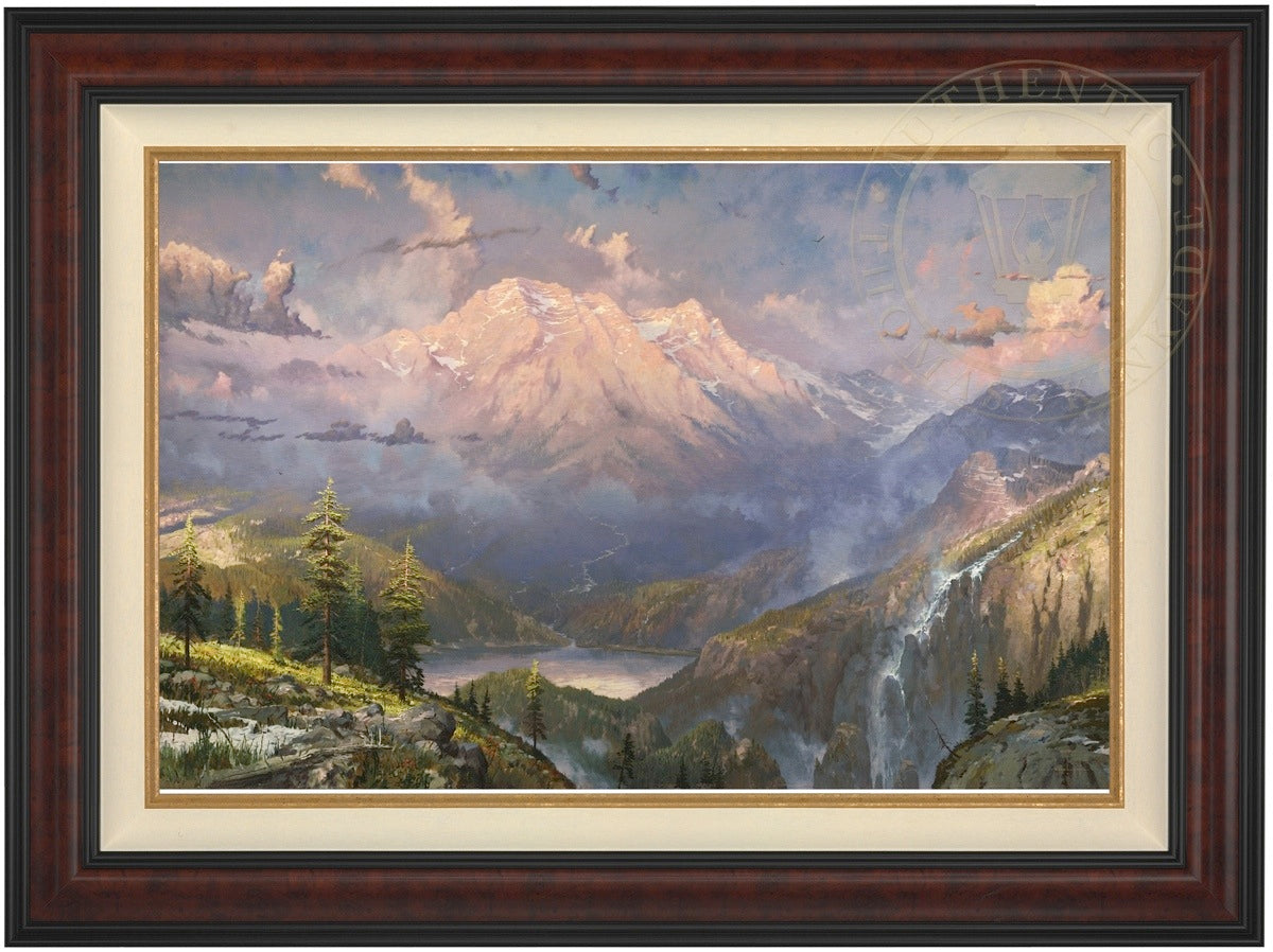 Laguna Vista Gallery