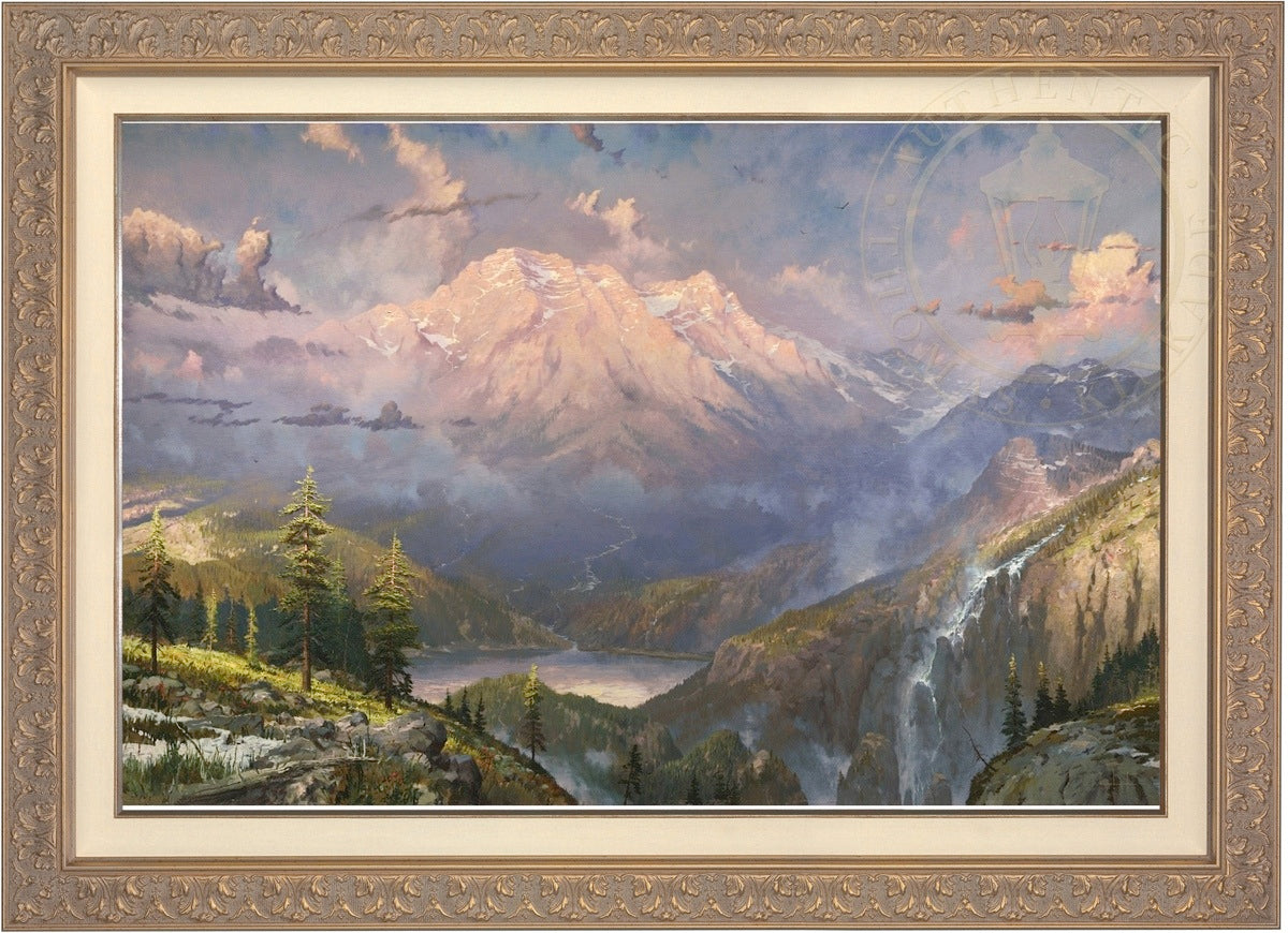 Laguna Vista Gallery