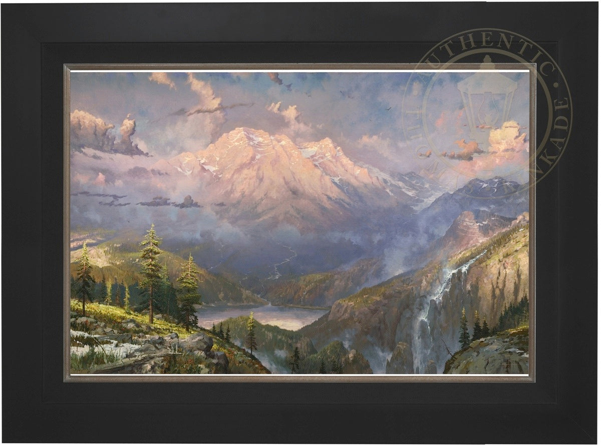 Laguna Vista Gallery