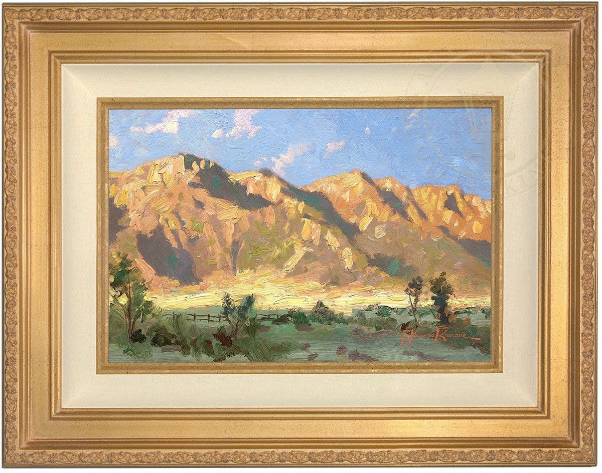 Laguna Vista Gallery