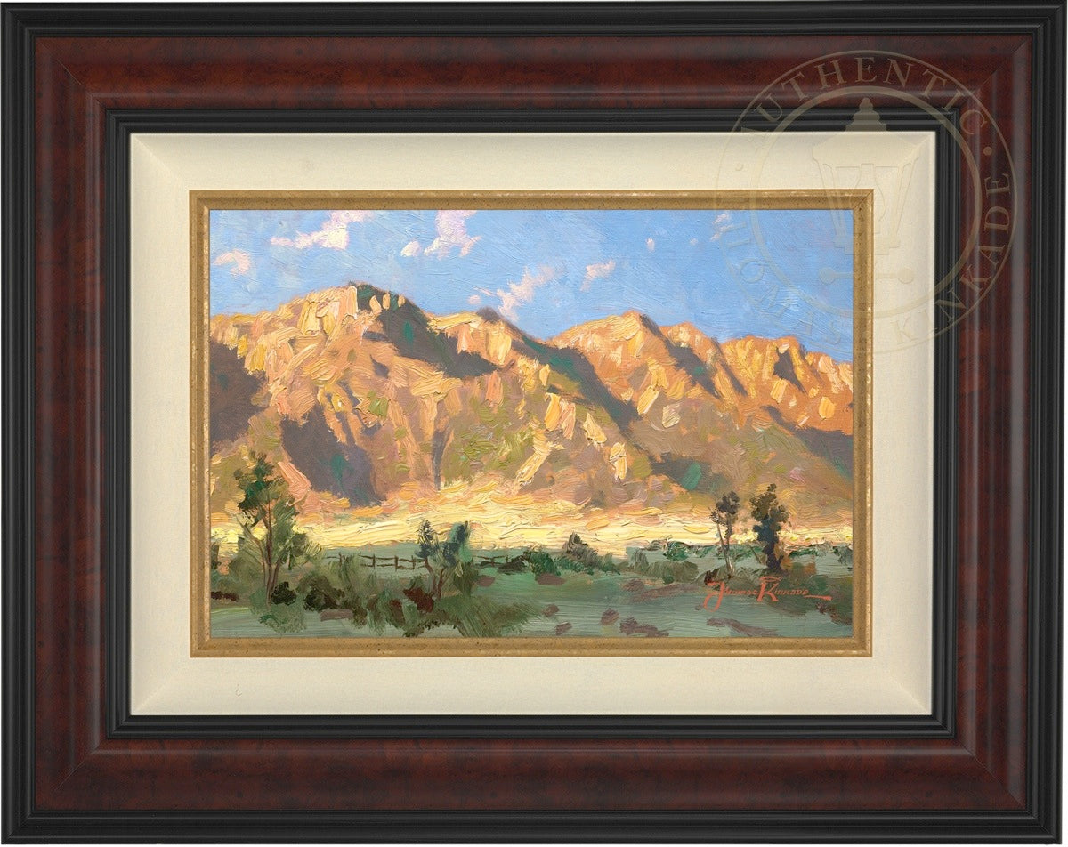 Laguna Vista Gallery