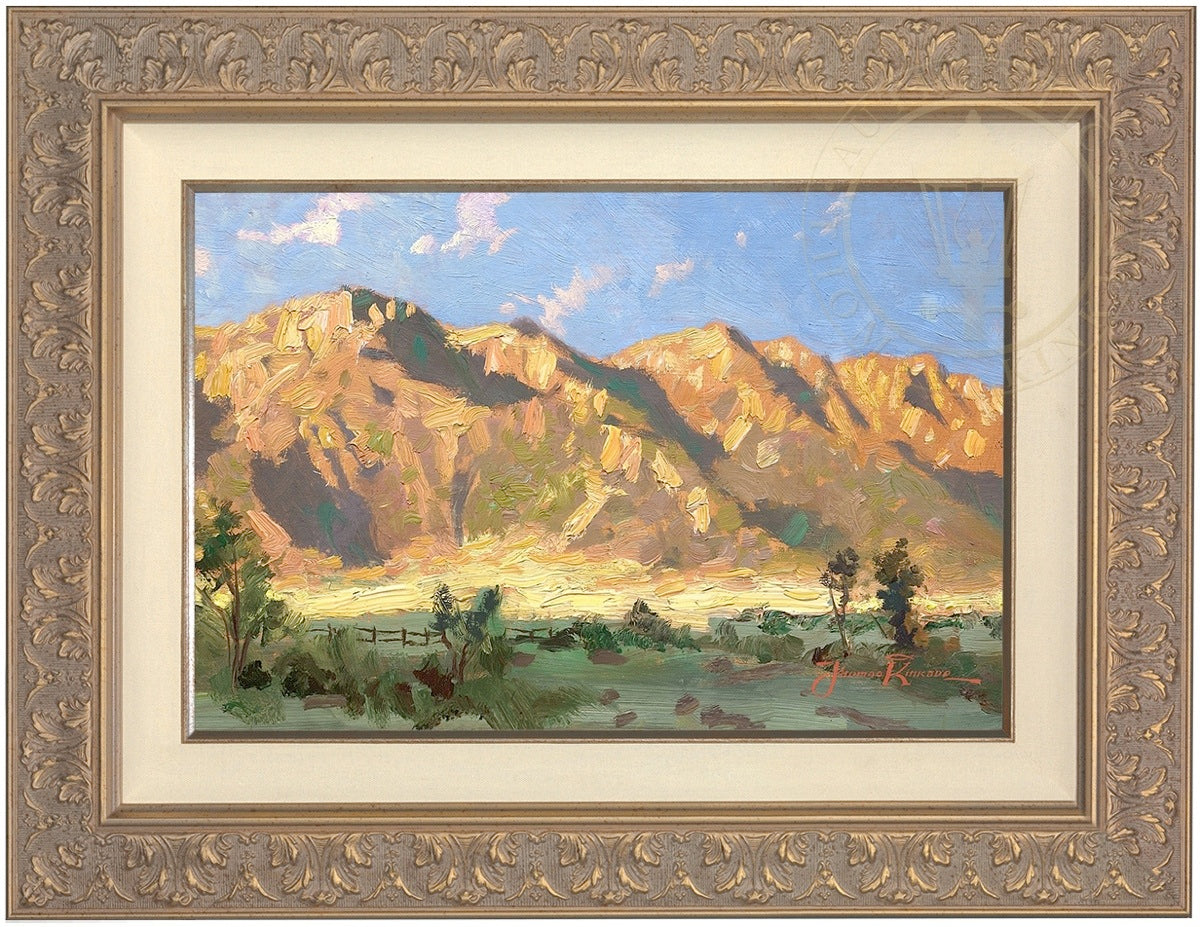 Laguna Vista Gallery