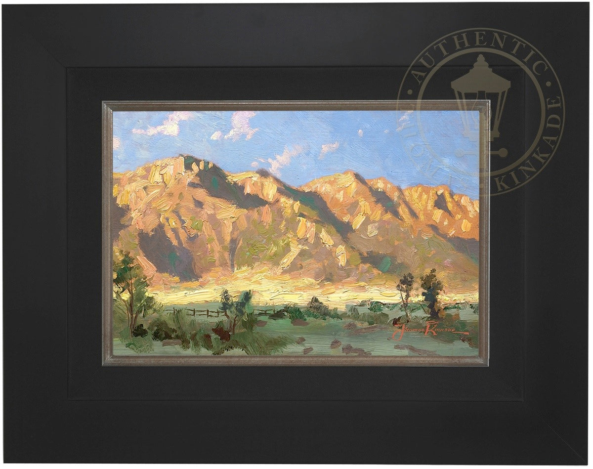 Laguna Vista Gallery
