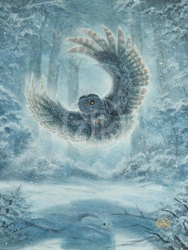zac kinkade snowy owl